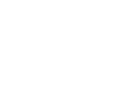 Statesman Rail logo